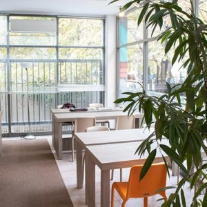 Open Space Coho Featured